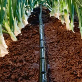 Крапельна стрічка Щілинна 7міл 10см 2000м 1,2л/год Grain Drip