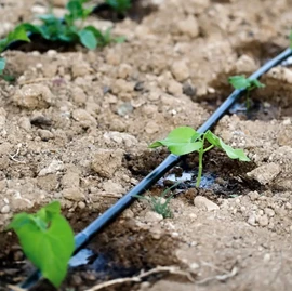 Крапельна стрічка емітер 6mil 20см 3000м 1,38 л/г Grain Drip