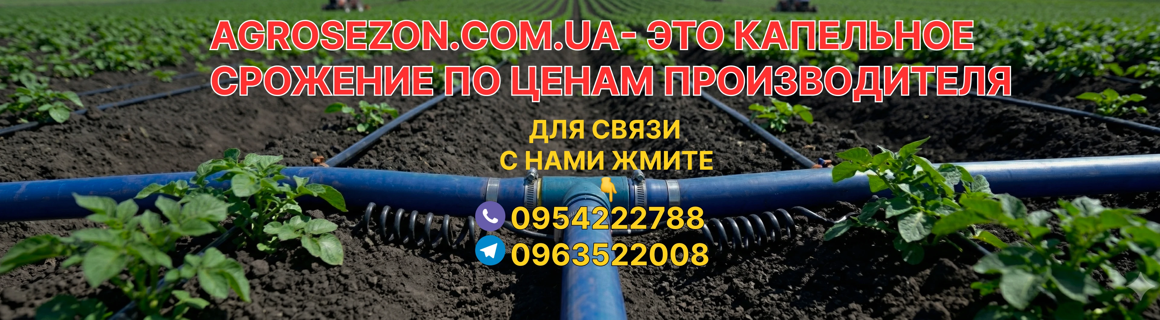 Контакты