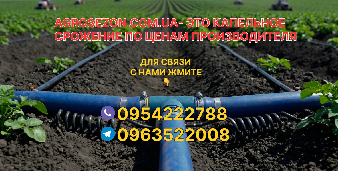 Контакты